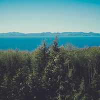 自动发卡秒发的短信验证码轰炸卡盟免费