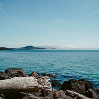 哪里有卖在线免费轰炸电话网页版